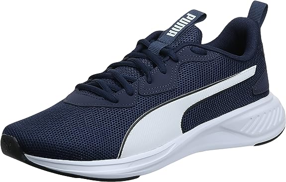PUMA INCINERATE