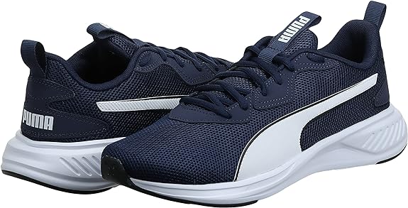 PUMA INCINERATE