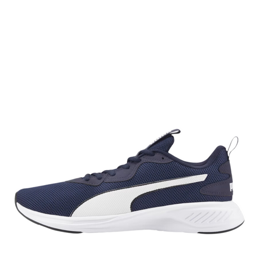 PUMA INCINERATE