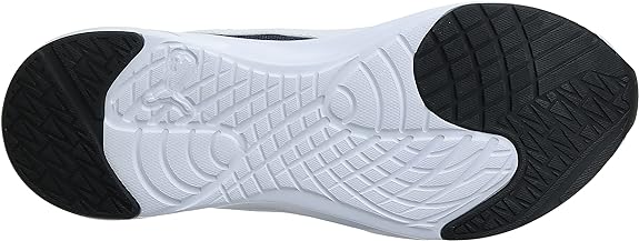 PUMA INCINERATE
